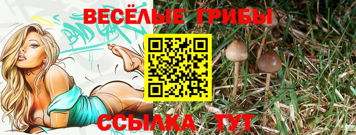 Псилоцибиновые грибы ЛСД  Вход с VPN  Азнакаево 